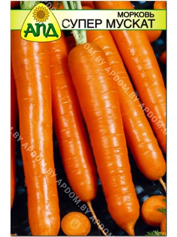 Морковь Супер Мускат (Daucus carota L.)