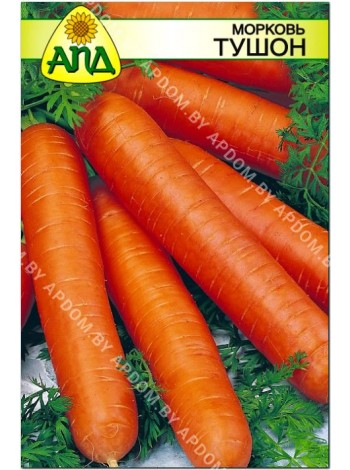 Морковь Тушон (Daucus carota L.)