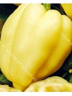 Перец сладкий Бонета (Capsicum annum L.var.grossum)