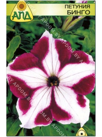 Петуния Бинго (Petunia x hybrida)