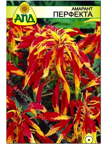 Амарант Перфекта (Amaranthus tricolor)
