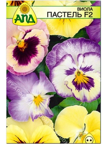 Виола Пастель F2 (Viola x wittrockiana)