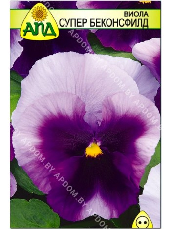 Виола Супер Беконсфилд (Viola x wittrockiana)