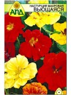 Настурция махровая вьющаяся (Tropaeolum majus)